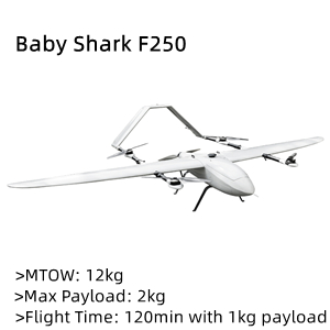 Baby-Shark-F250