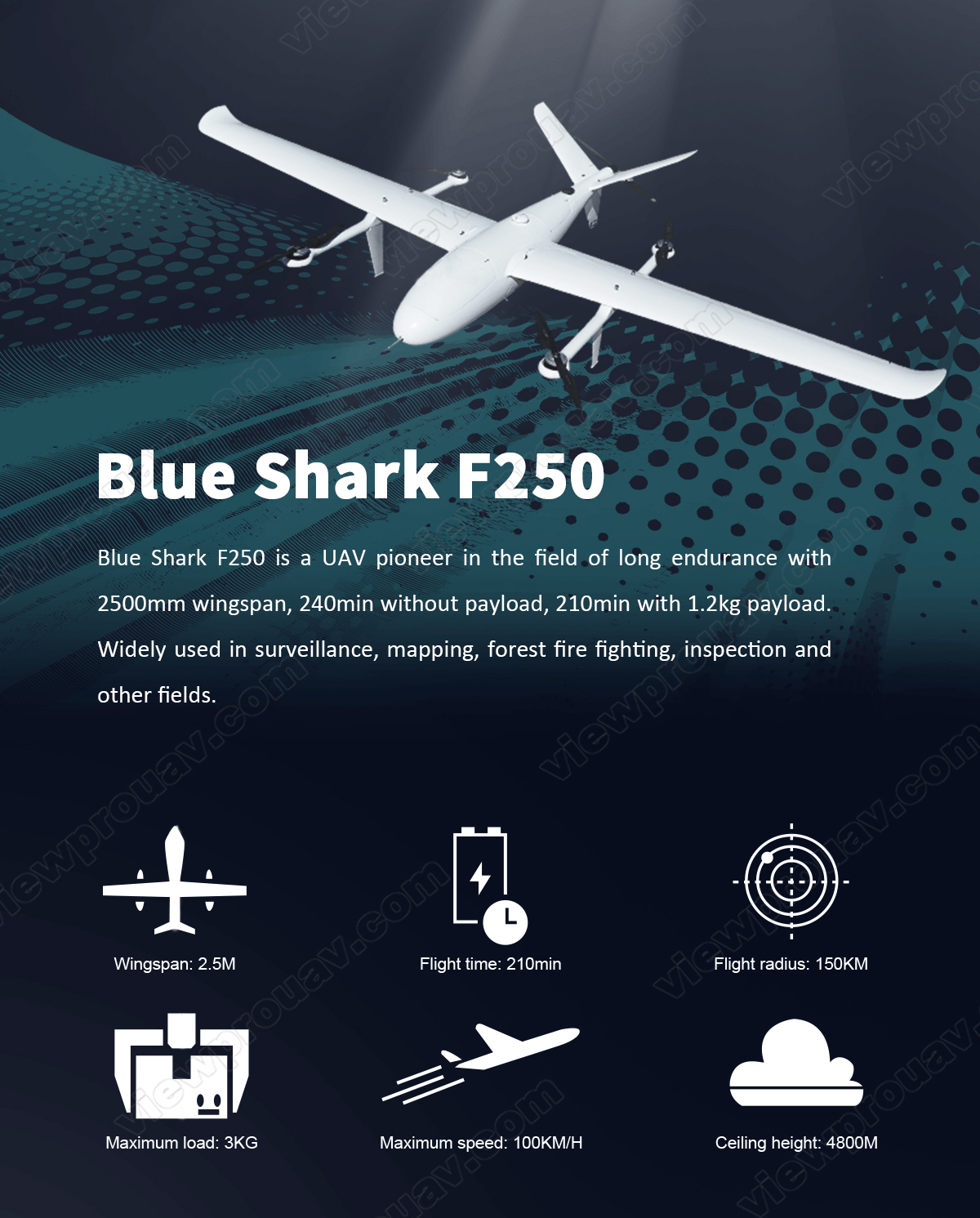 Blue Shark F250 Ins 01